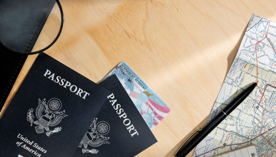 immigration Consultants in Delhi NCR