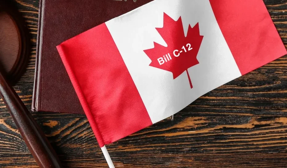 Canada Work Permit Consultants