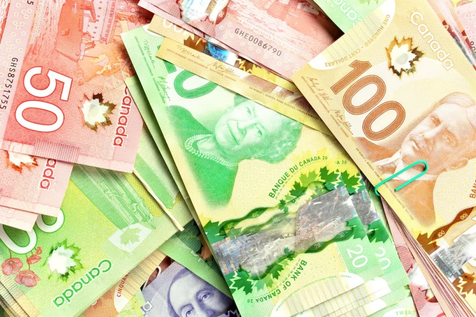 Canada Work Permit Consultants