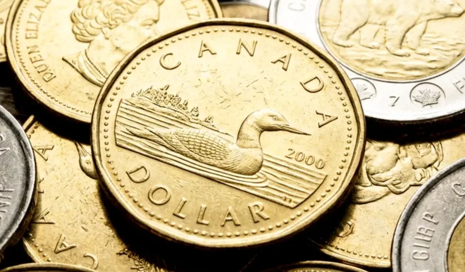 Canada Work Permit Consultants