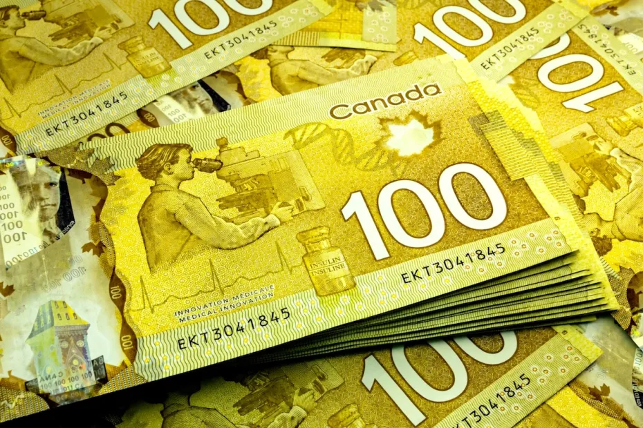 Canada Visit Visa Agents in Delhi