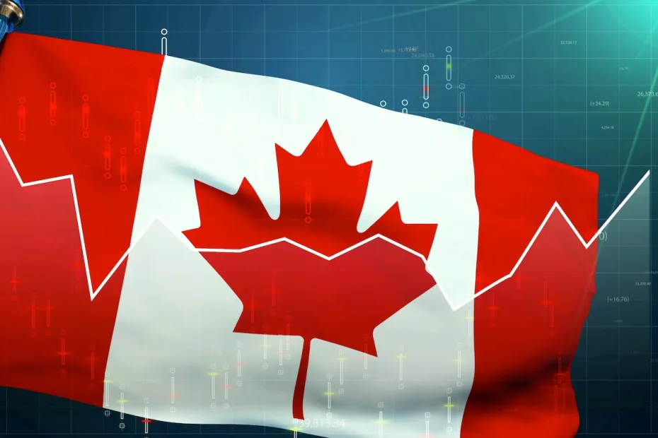 Canada Work Permit Consultants