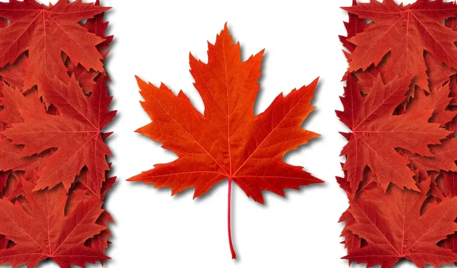 Canada Visit Visa Agents in Delhi