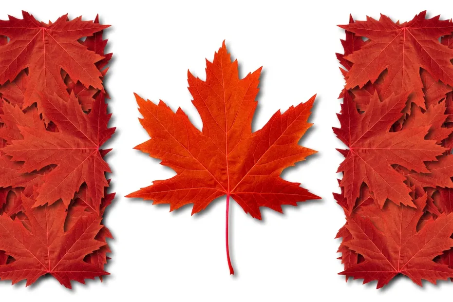 Canada Visit Visa Agents in Delhi