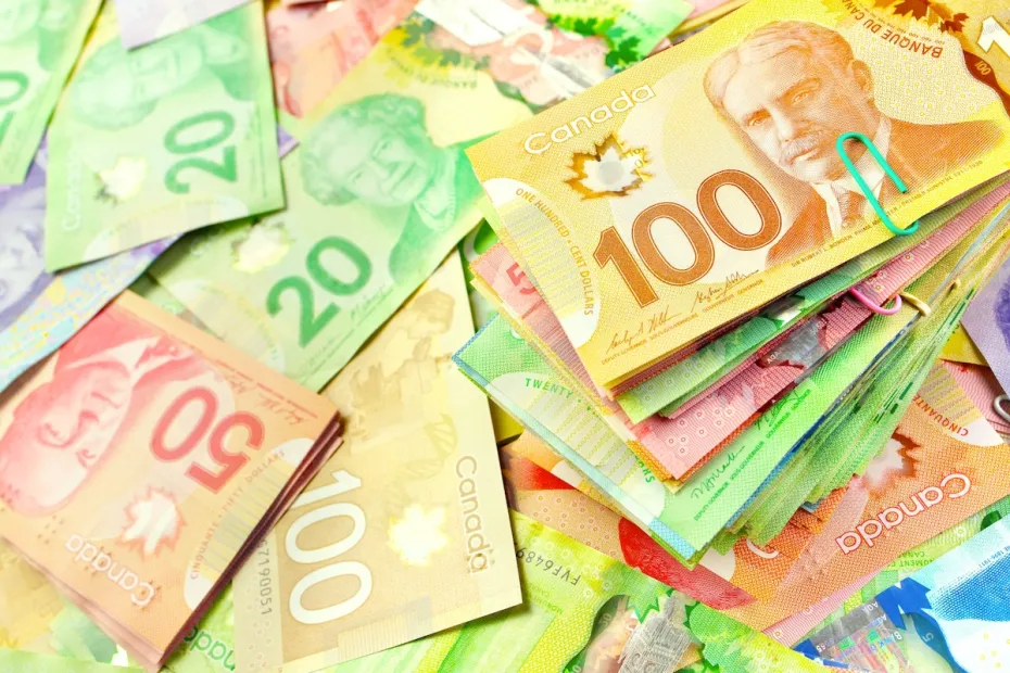 Canada Work Permit Consultants